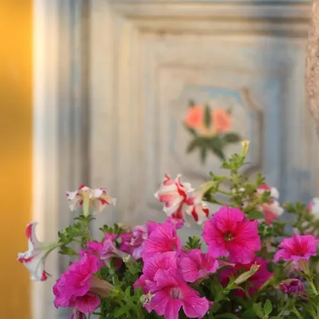 Beautiful Traditional House In Kır Evi *